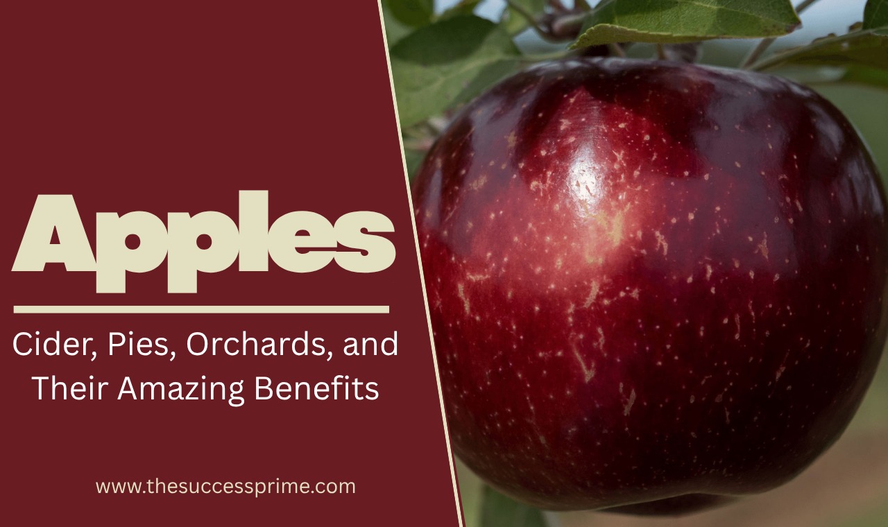 Everything About Apples – From Orchards to Apple Pie & Beyond