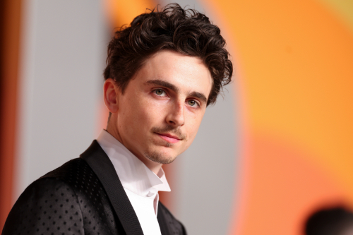 Timothee Chalamet 10 Most Handsome Men in the World 2026: Global Rankings